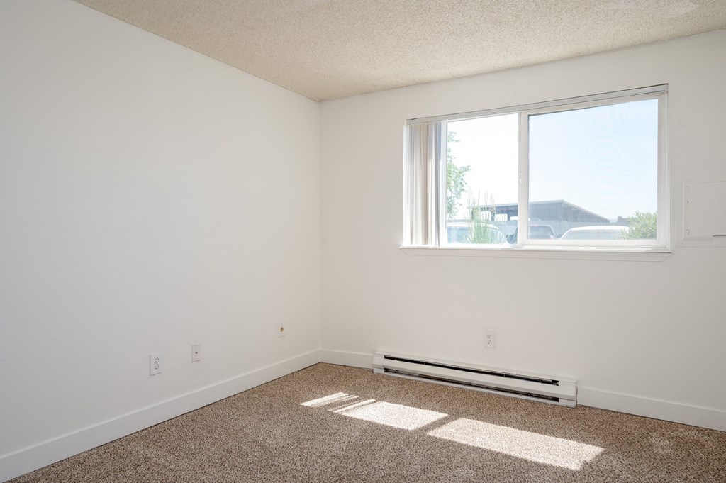A room with a window and a carpet on the floor.