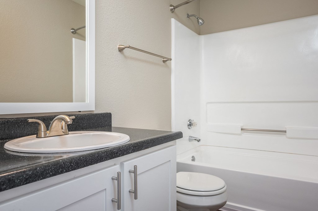 a bathroom with a sink and a toilet and a bath tub