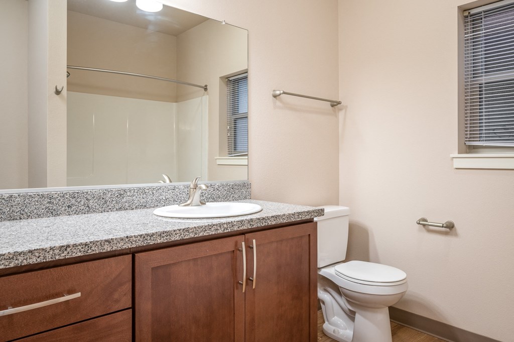 the preserve at ballantyne commons apartment bathroom with sink toilet and mirror