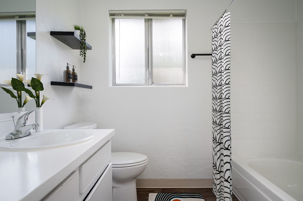 Pacific Park | Bathroom