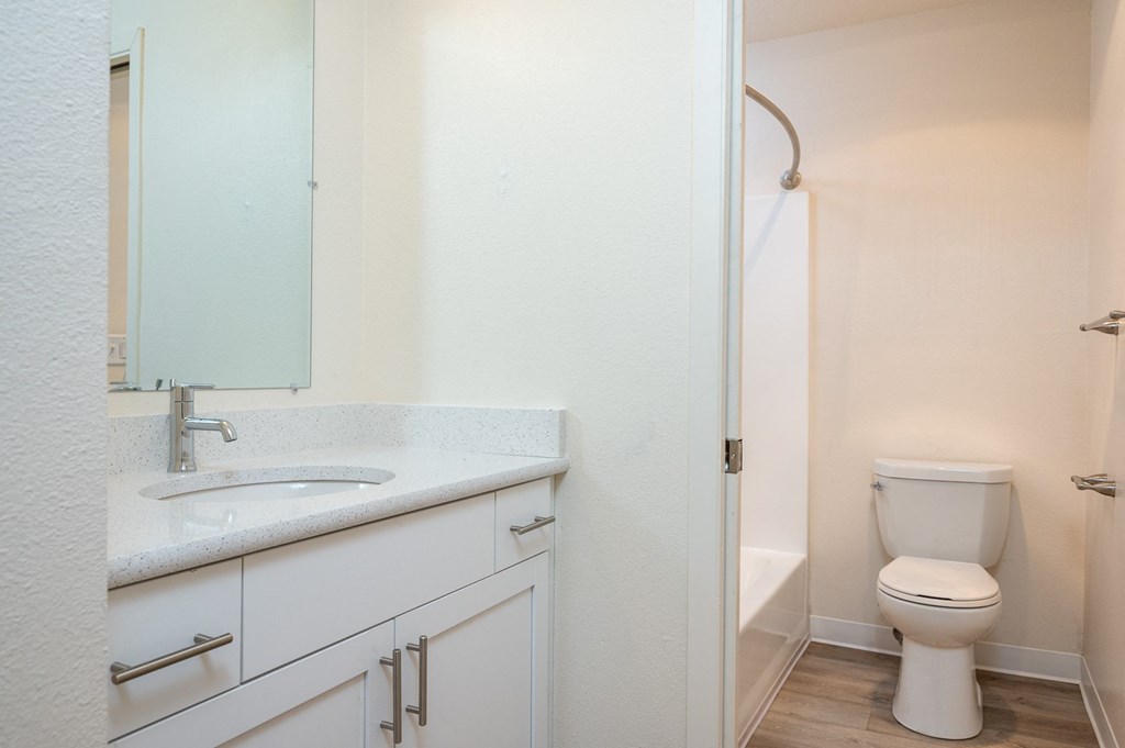 a bathroom with a sink and a toilet and a shower