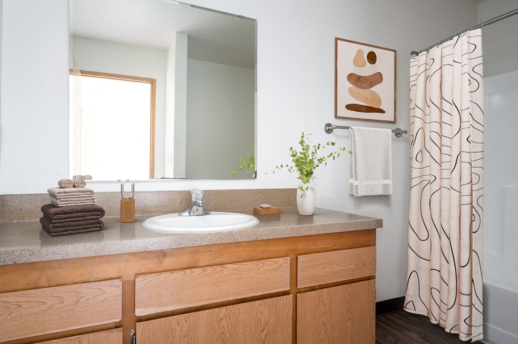 a bathroom with a sink and a mirror and a shower curtain