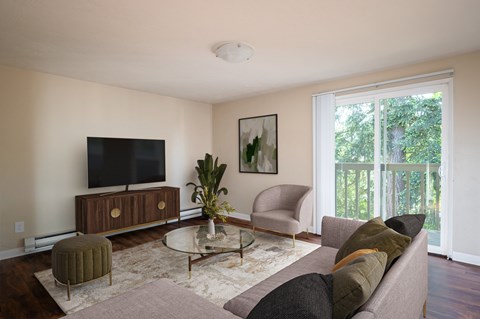 A living room with a couch, chair, and television.