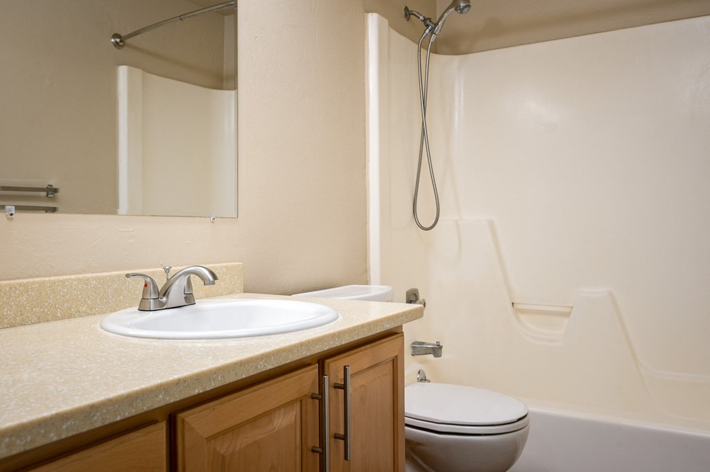 a bathroom with a sink and a toilet and a shower