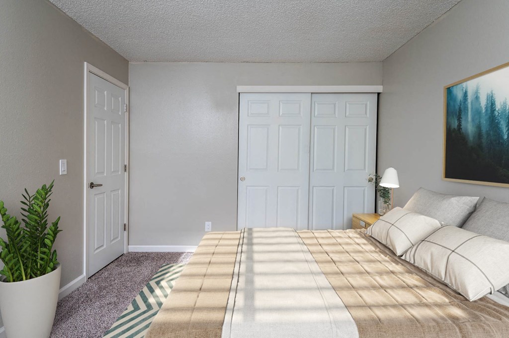 a bedroom with a bed and a closet