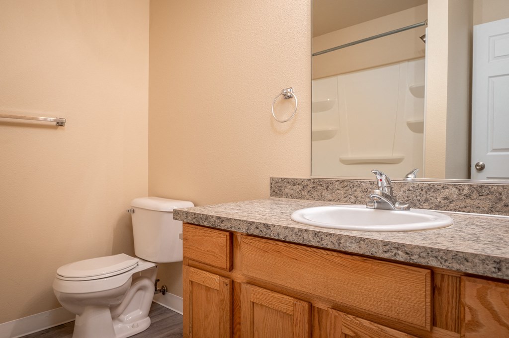 a bathroom with a sink toilet and mirror