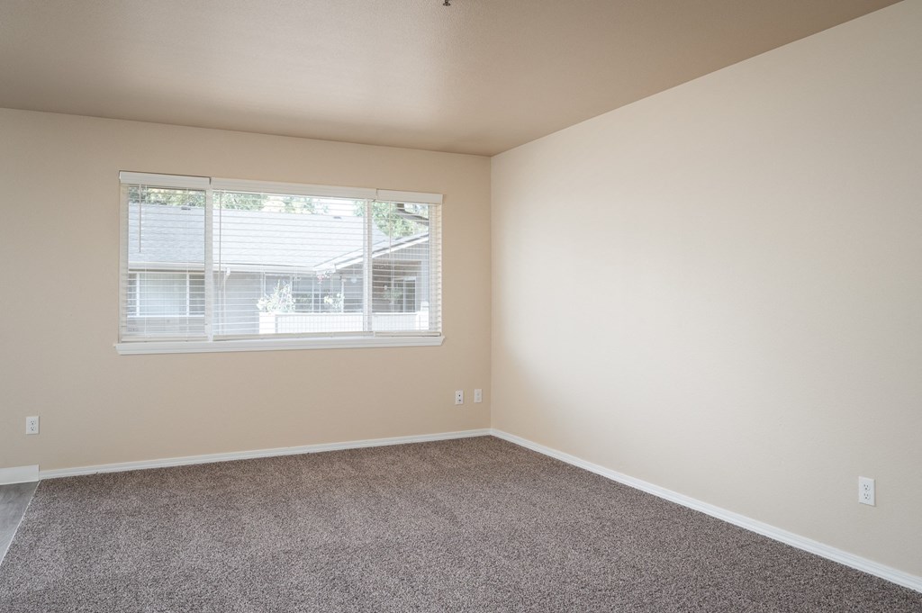 an empty room with carpet and a window