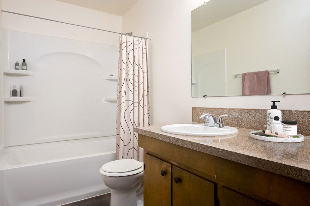 a bathroom with a sink and a toilet and a shower