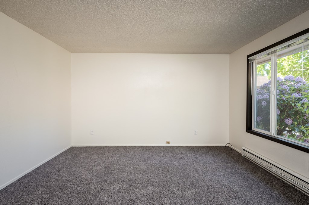 an empty room with carpet and a large window