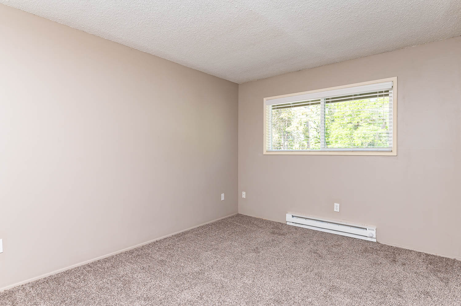 Bedroom with wall to wall carpet