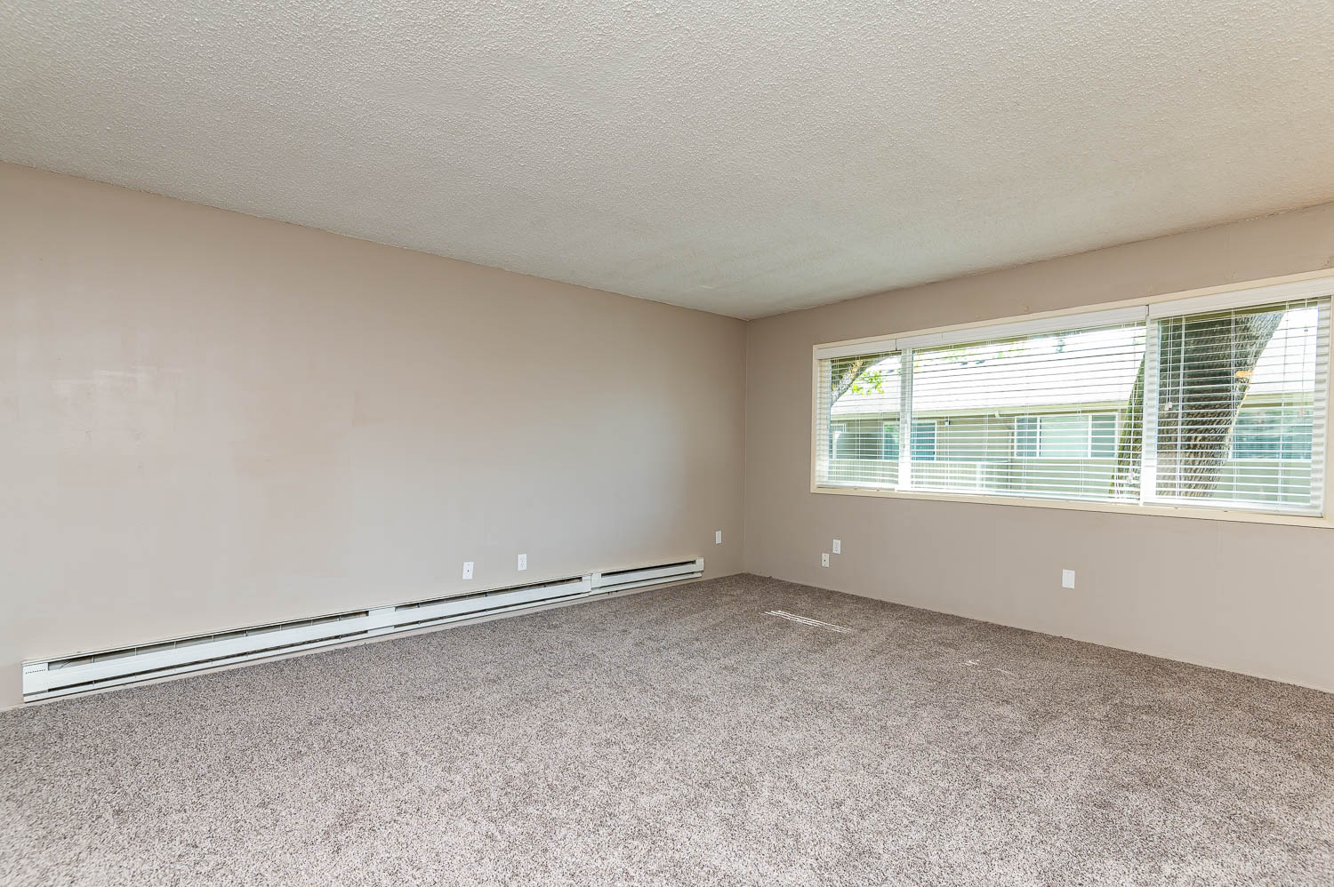 Spacious Living Room