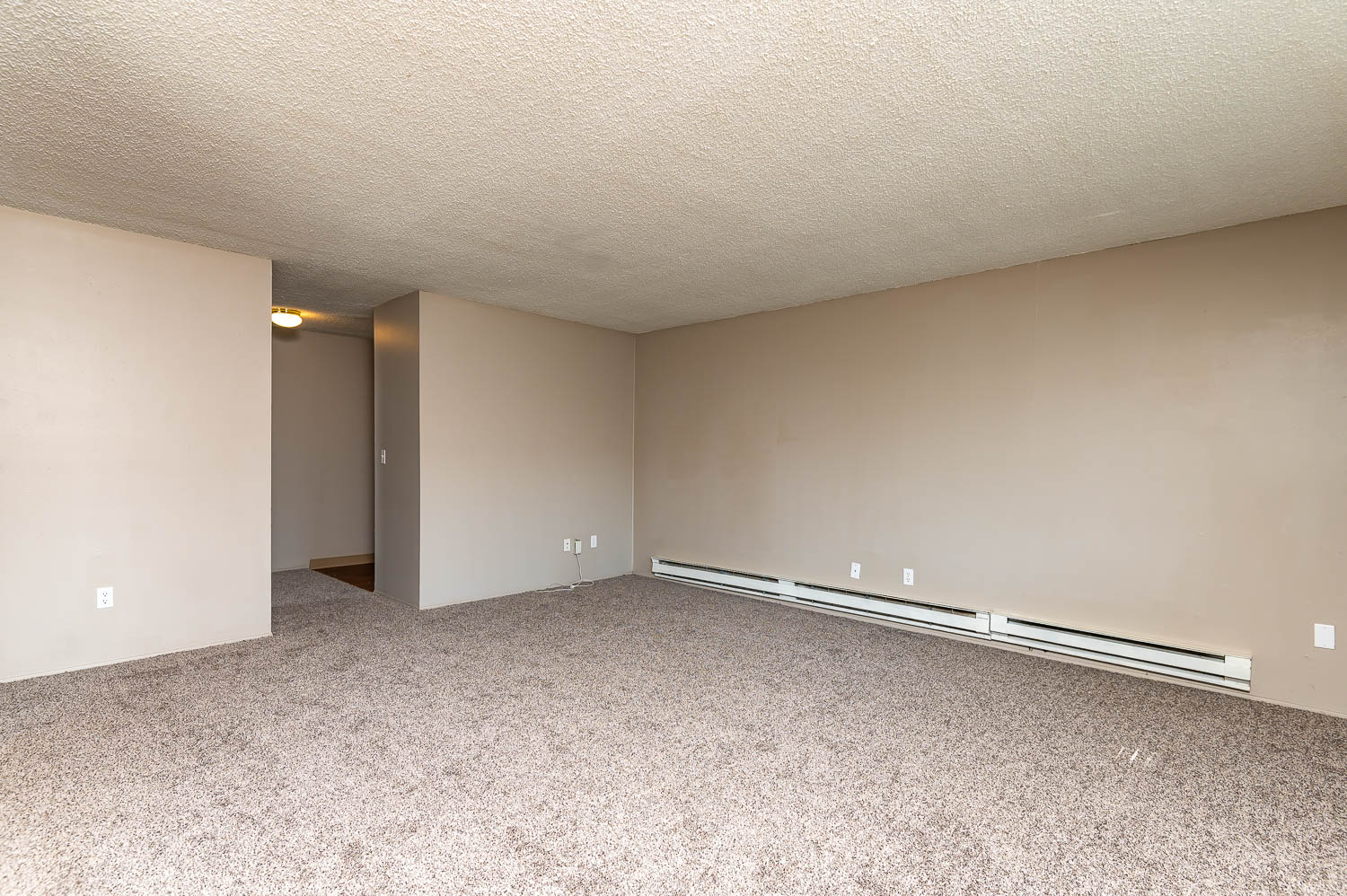 Living Room with wall to wall carpet