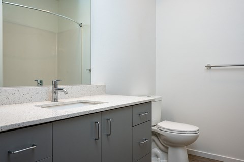 The Lenox | Bathroom Sink with Dark Grey Cabinets
