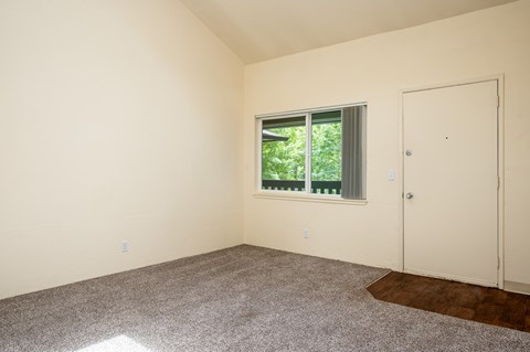 A room with a carpeted floor, a window with a view of trees, and a closed door.