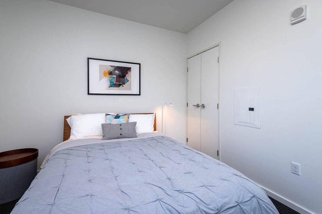 a bedroom with a bed and a closet