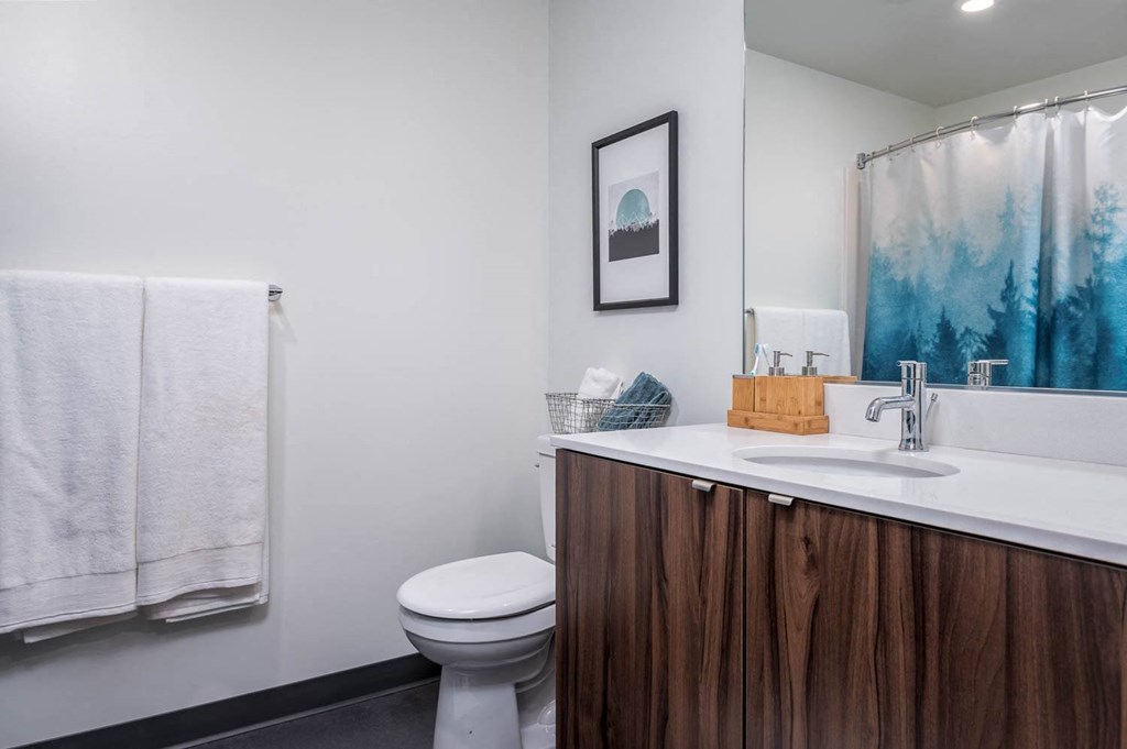 a bathroom with a sink and a toilet