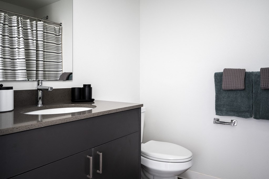 a bathroom with a sink and a toilet and a mirror