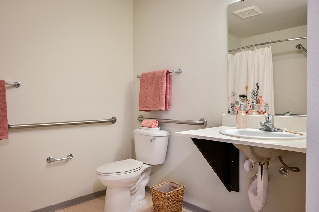 a bathroom with a toilet and a sink and a mirror