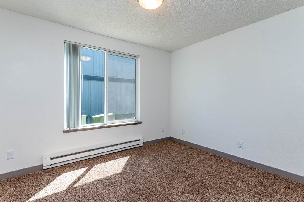 A room with a window and a carpet on the floor.