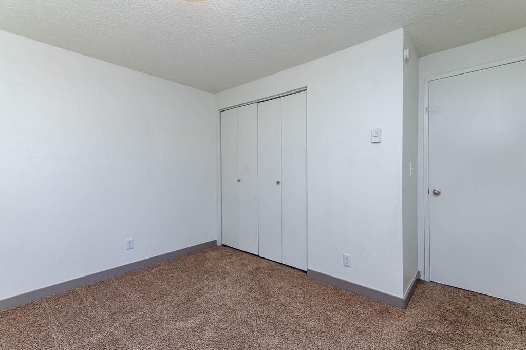 A room with two white doors and a carpeted floor.