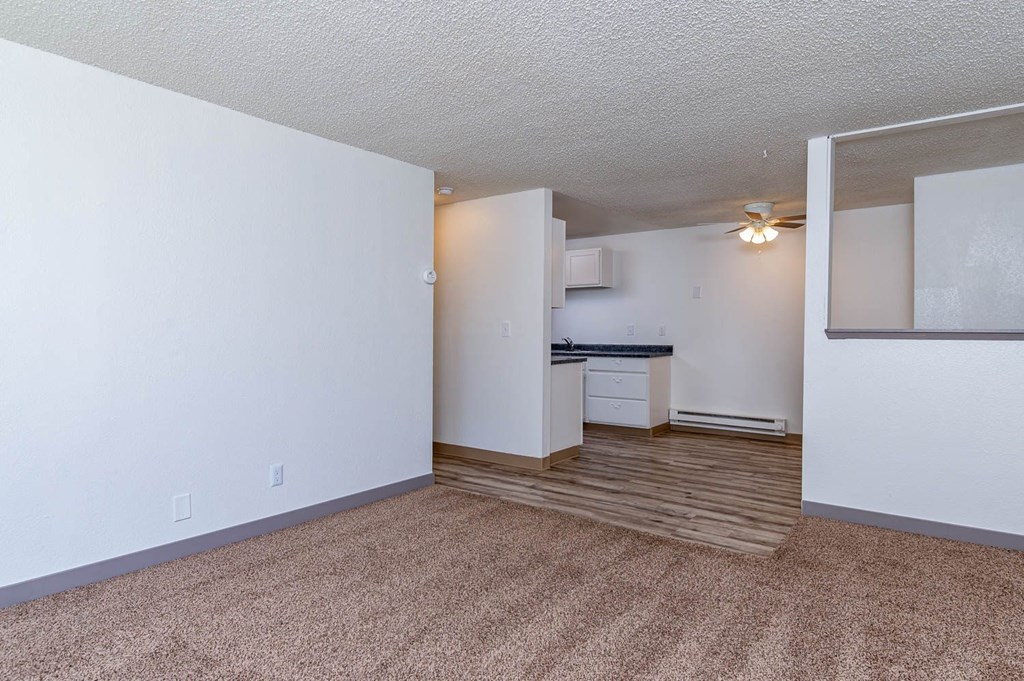 A room with a carpeted floor and a kitchen area in the background.