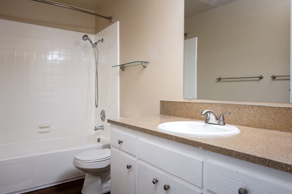 a bathroom with a sink and a shower and a toilet