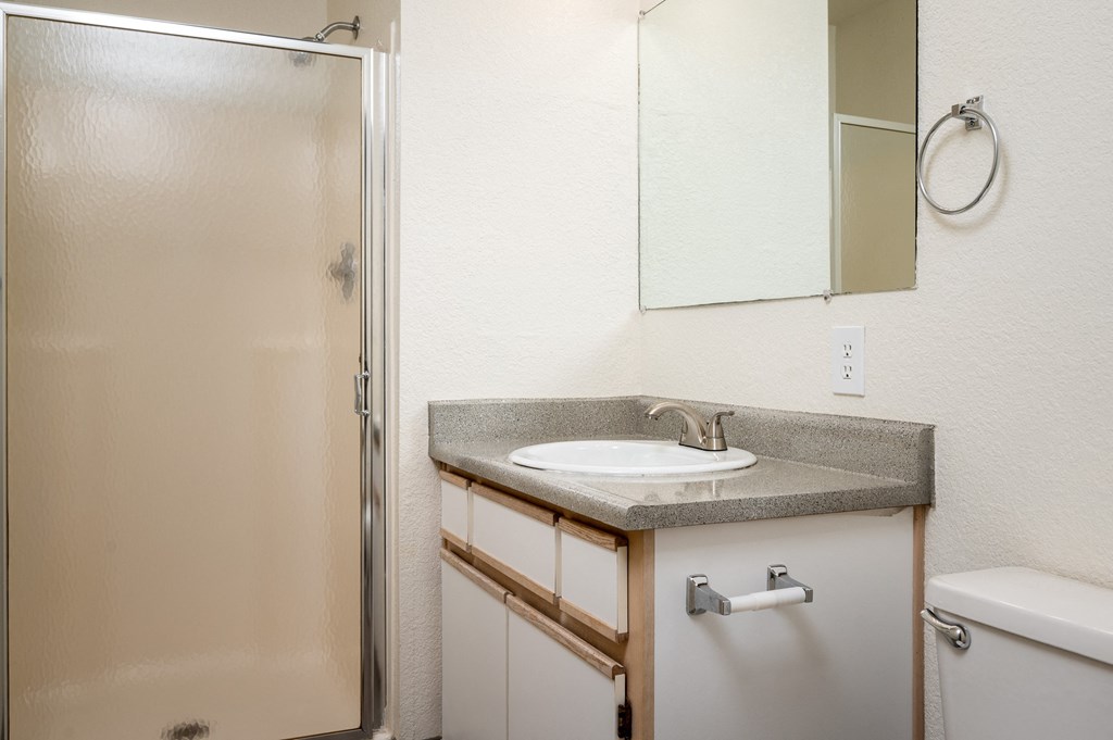 a bathroom with a sink and a shower