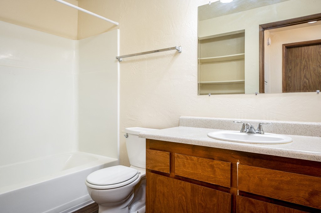 a bathroom with a toilet and a sink and a mirror