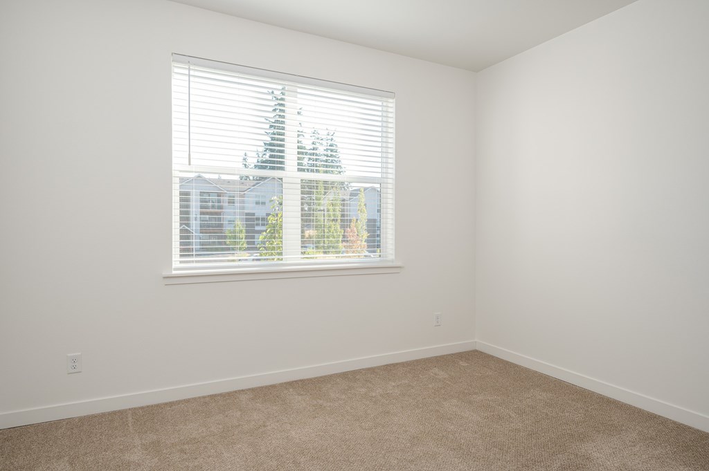 A room with a window showing a tree lined view