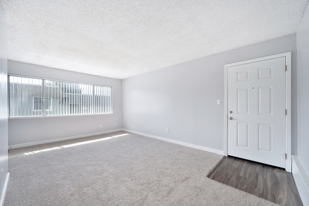 The Canopy | Living Room