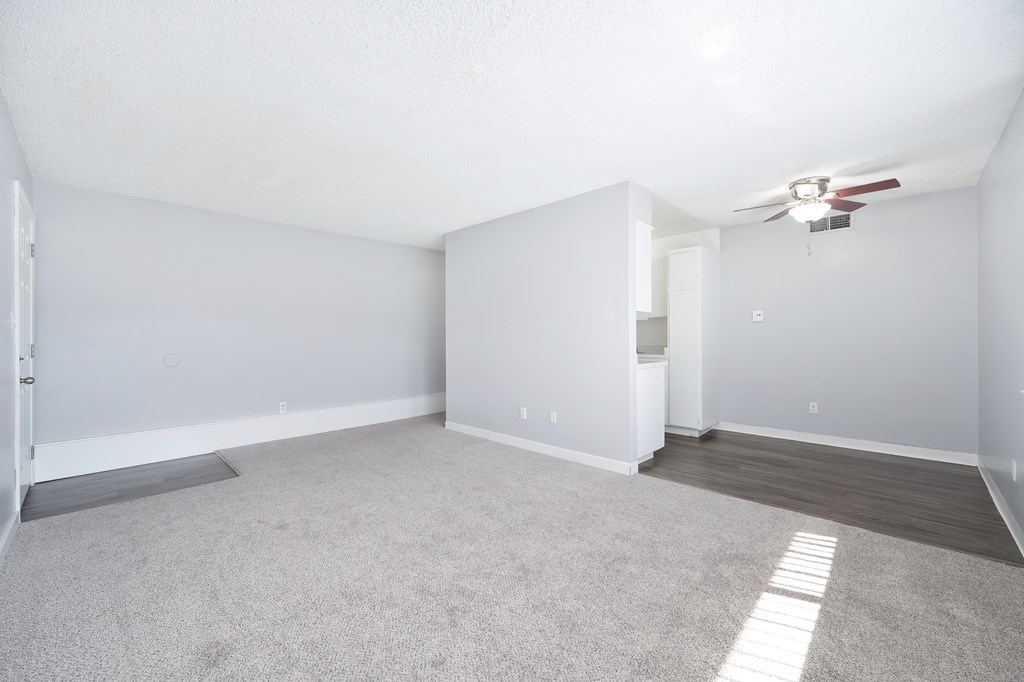 The Canopy | Living Room