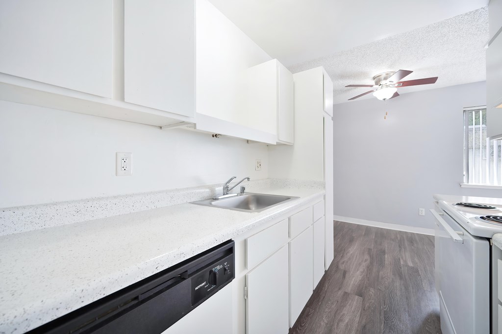 The Canopy | Kitchen