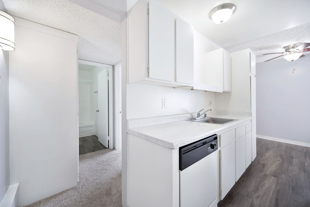 The Canopy | Kitchen