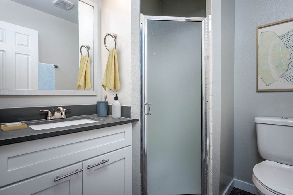 a bathroom with a sink toilet and a shower