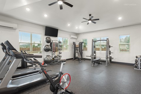 A spacious home gym with a treadmill, weights, and exercise equipment.