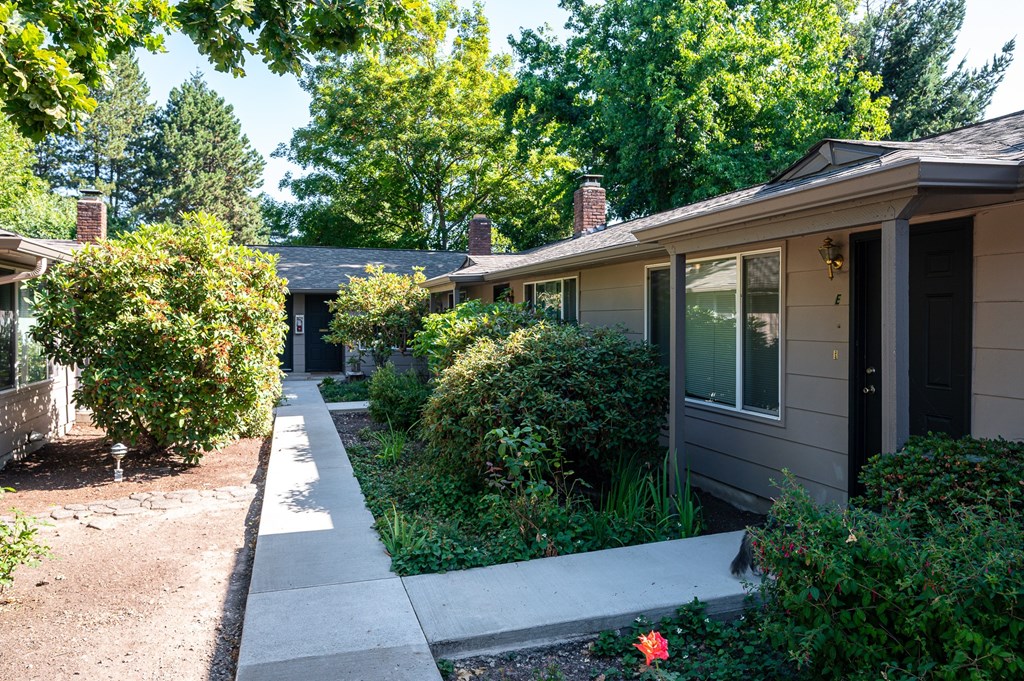 A house with a grey facade and a black door is surrounded by greenery.