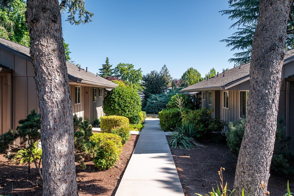 A tree-lined walkway leads to a series of houses.
