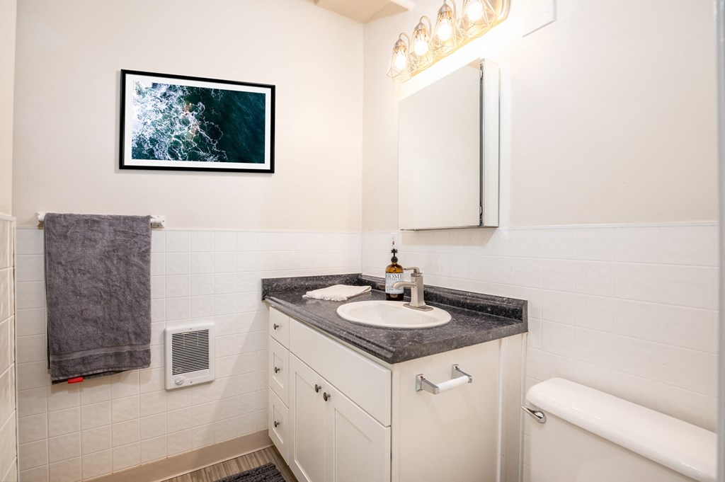 a bathroom with a sink and a mirror and a toilet