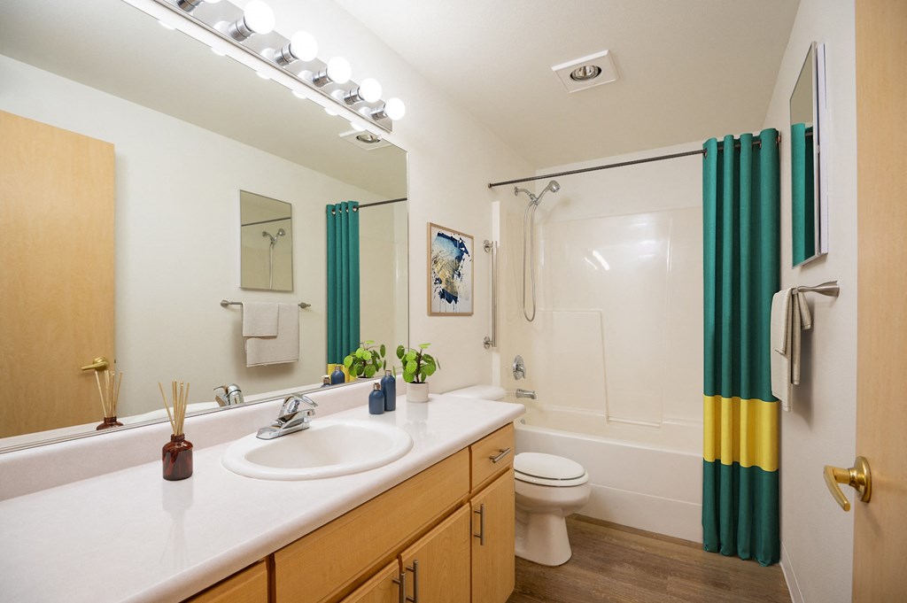 the preserve at ballantyne commons apartment bathroom with sink toilet and shower
