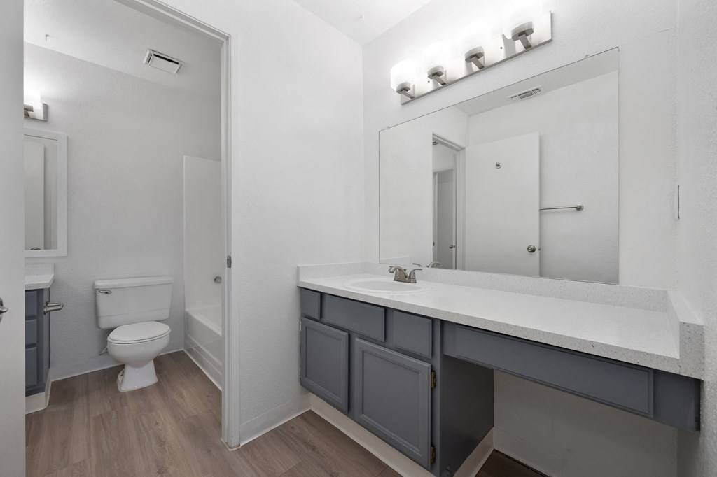 Townhomes at 201 | Bathroom