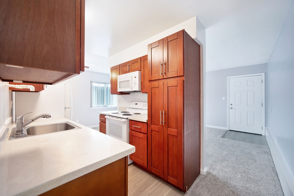 The Canopy | Kitchen