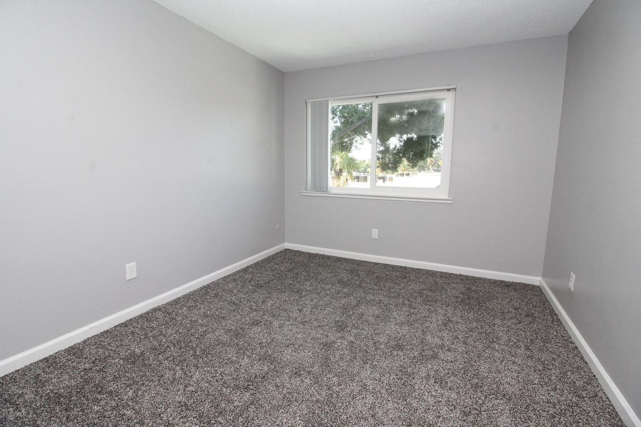 The Canopy | Bedroom with Carpeting and Window