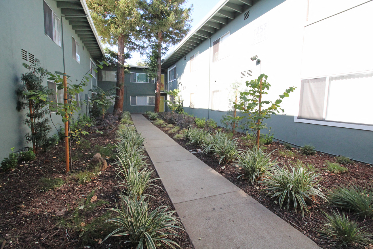 The Canopy | Exterior Building and Pathway