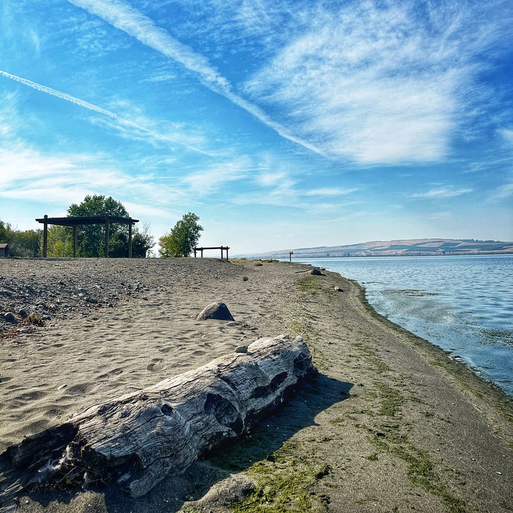 a log sitting on the beach next to the water