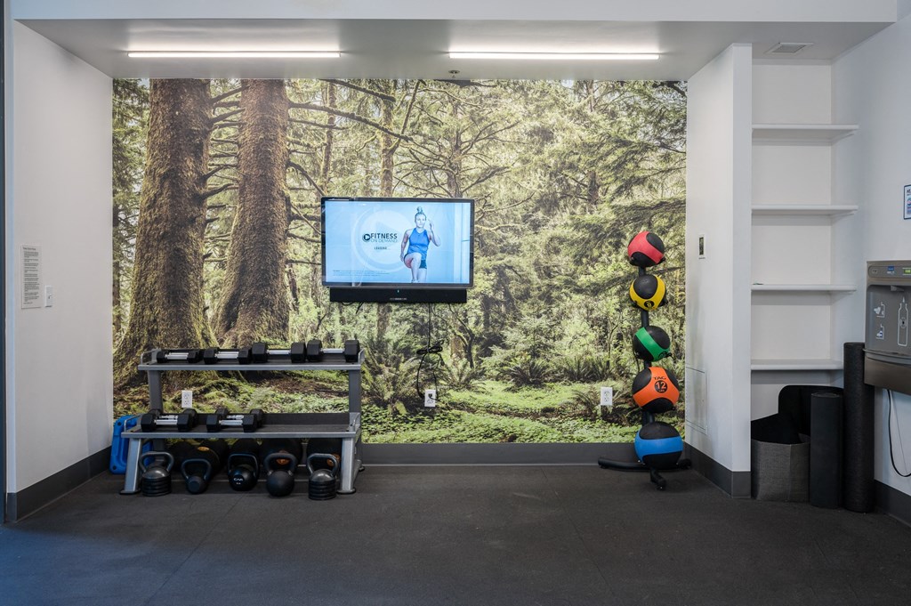 a television and a table with weights in a room with a large mural on the wall