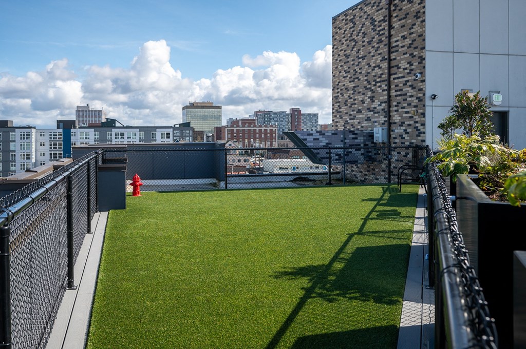 a lawn on the roof of a building with a fire hydrant