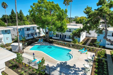 The Camellia on Buck | Pool
