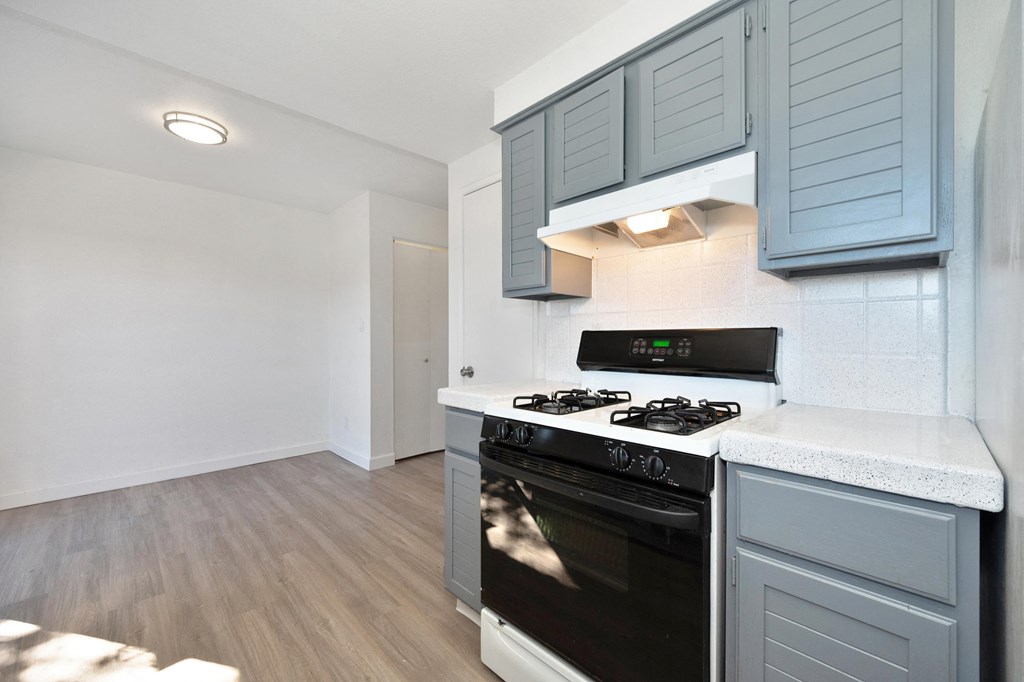 Townhomes at 201 | Kitchen