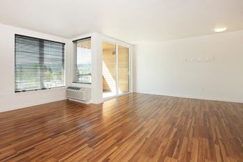 Plank Style Flooring and Berber Carpet