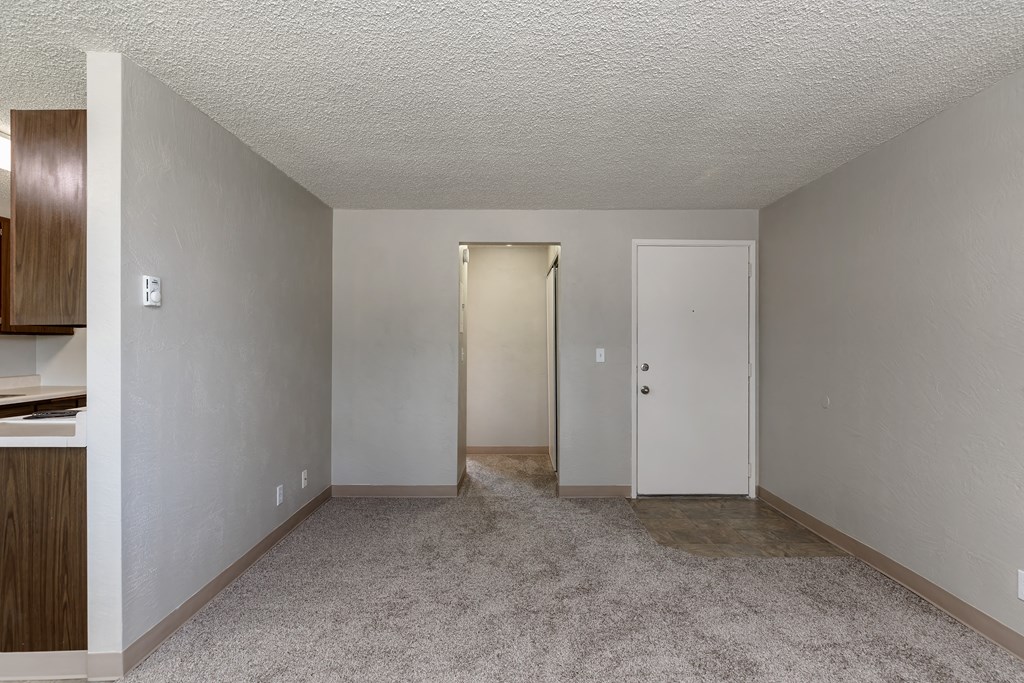 A room with a carpeted floor and two doors.